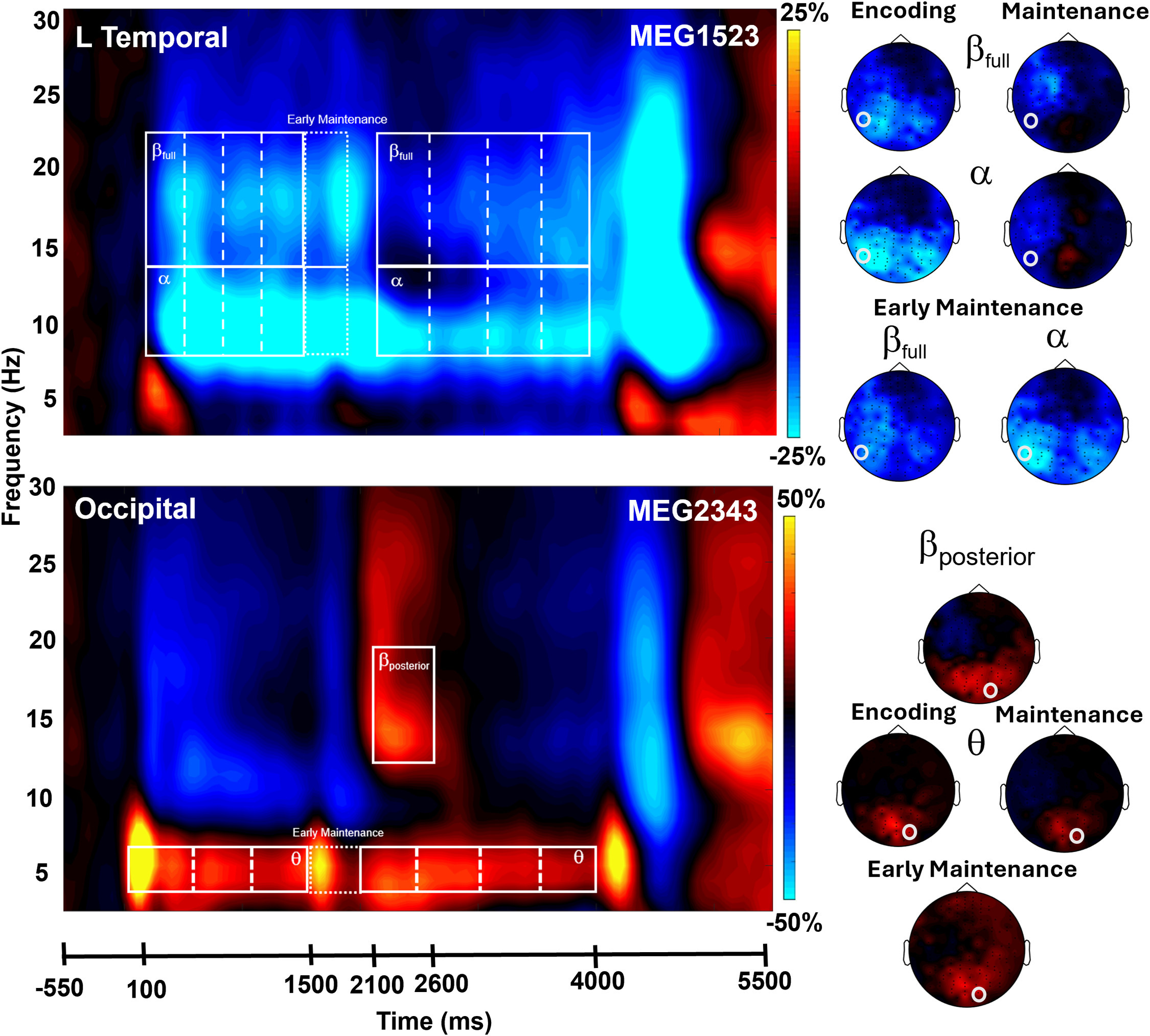 time-frequency spectrograms and spatial maps for a working memory task